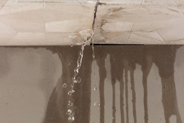 Professional Structural Drying technician working in Lascassas, TN